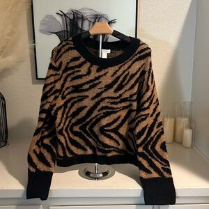 H&M Tiger Striped Sweater